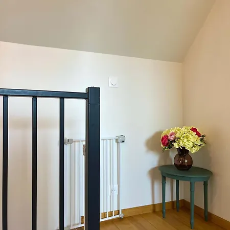 Les Chatons - Au Coeur De La Campagne