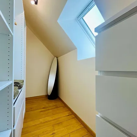 Les Chatons - Au Coeur De La Campagne