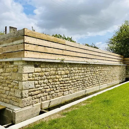 Les Chatons - Au Coeur De La Campagne *