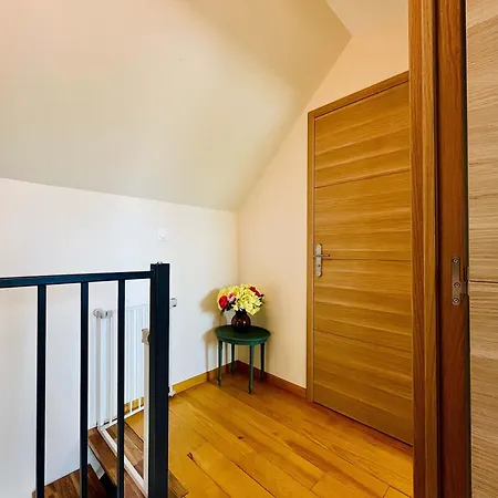 Les Chatons - Au Coeur De La Campagne * Fresville