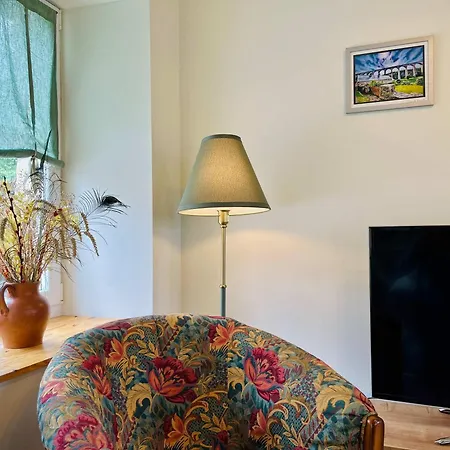 Les Chatons - Au Coeur De La Campagne