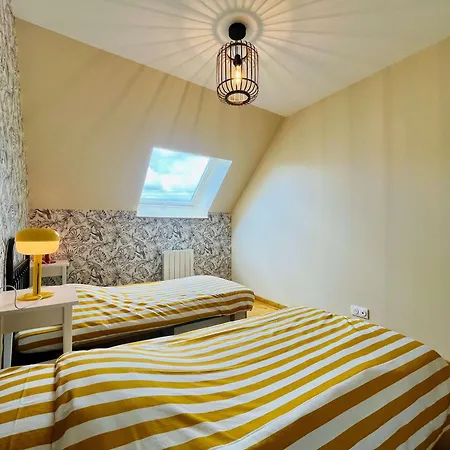 Les Chatons - Au Coeur De La Campagne