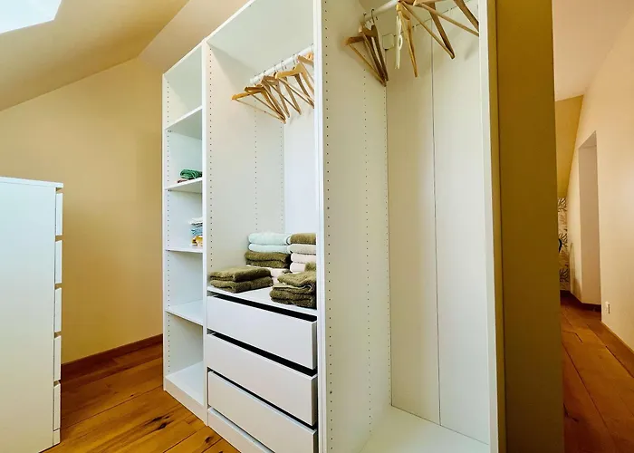 Les Chatons - Au Coeur De La Campagne * Fresville