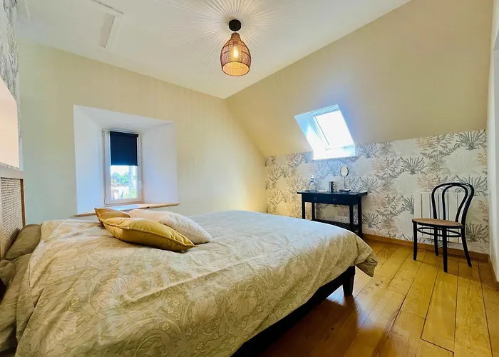 Les Chatons - Au Coeur De La Campagne