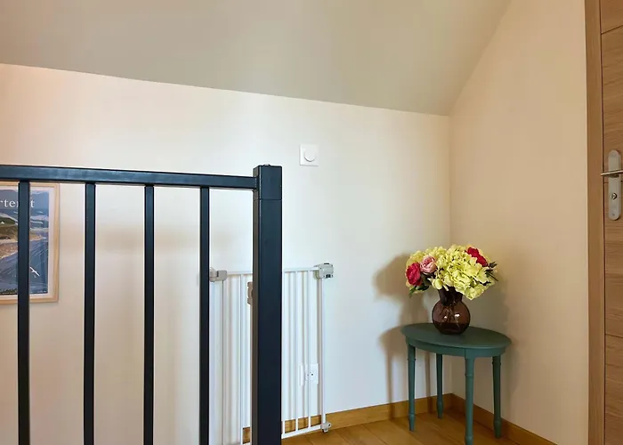 Les Chatons - Au Coeur De La Campagne