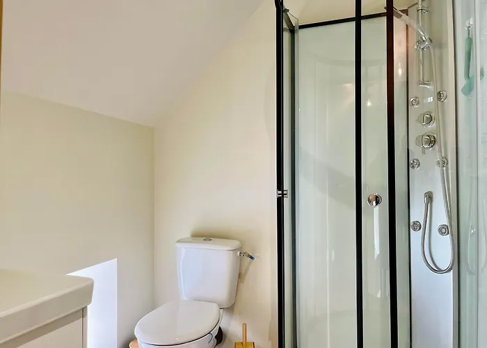 Les Chatons - Au Coeur De La Campagne * Fresville