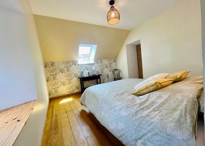 Les Chatons - Au Coeur De La Campagne *