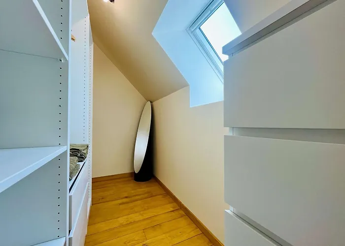 Les Chatons - Au Coeur De La Campagne