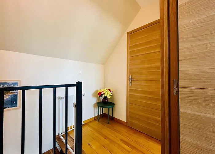 Les Chatons - Au Coeur De La Campagne * Fresville