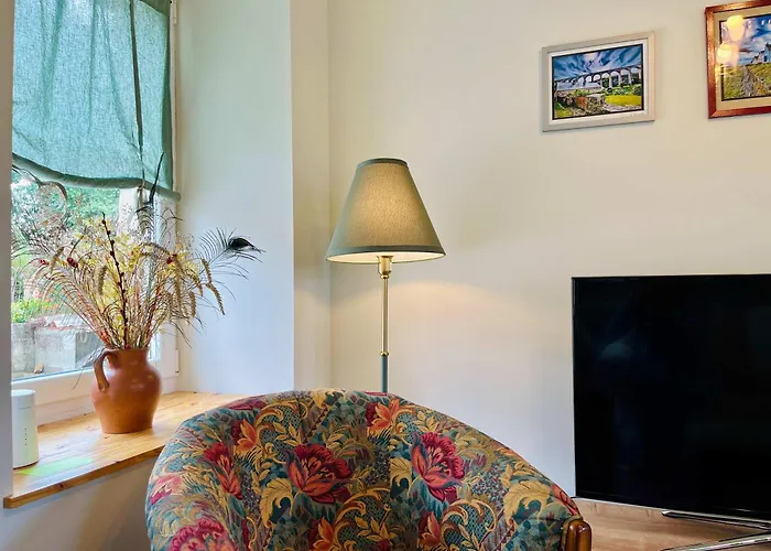 Les Chatons - Au Coeur De La Campagne