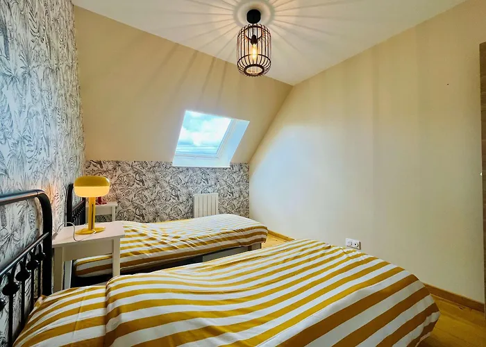 Les Chatons - Au Coeur De La Campagne